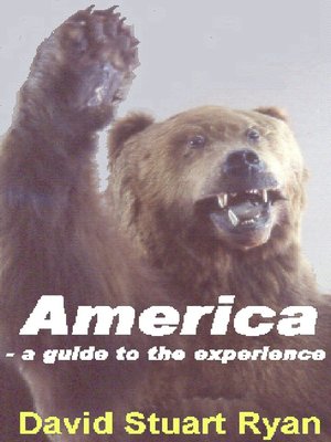 cover image of America